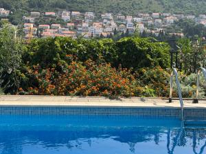 a swimming pool with a view of a city at Mediteraneo in Dubrovnik