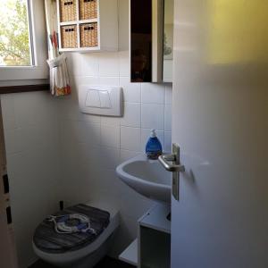 ein Badezimmer mit Toilette und Waschbecken in der Unterkunft Ferienhaus Ostseeküste in Damp