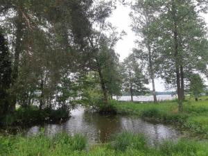 Paesaggio naturale nelle vicinanze di questo campeggio di lusso