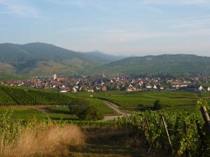 Photo de la galerie de l'établissement Gîte Sonnenberg, à Ammerschwihr