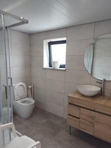 a bathroom with a toilet and a sink and a mirror at Arpuro in Gouveia