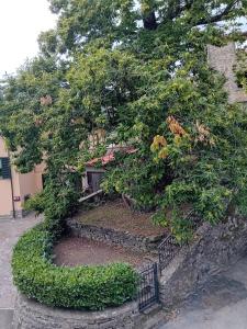 un grande albero in cima a un muro di pietra di Il Pianello di Badia Prataglia a Badia Prataglia