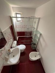 a bathroom with two toilets and a sink at Casa Primaverii in Râşnov