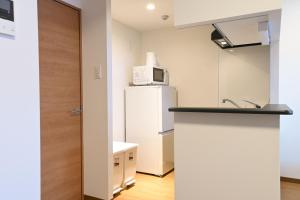 Kuchyň nebo kuchyňský kout v ubytování Evergreen hotel ichigaya