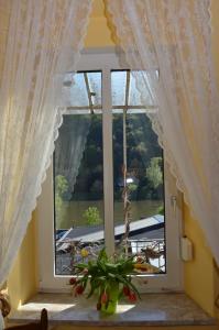 a window with a plant in front of it at Hotel Feiden Garni in Ediger-Eller +6 photos