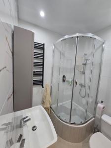 un bagno con doccia, lavandino e WC di Pokoje gościnne GOOD NIGHT apartamenty, noclegi a Będzin