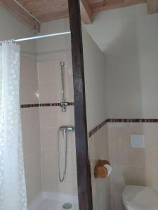 a bathroom with a shower and a toilet at Gîte spa privatif in La Roche-Chalais +9 photos