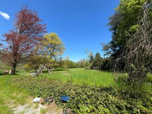 Fotografie z fotogalerie ubytování Casa nei boschi della Val Bormida v destinaci Calizzano