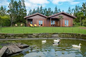 a group of ducks in a pond in front of a house at Quinta dos Curubas in Vila Franca do Campo