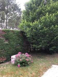 Ein Garten an der Unterkunft Villa OCELANDES