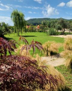 un campo con erba alta e alberi in un campo di Euphoria Guest House a San Felice Circeo