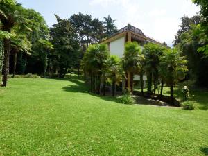 Κήπος έξω από το Central Palm Studio with free Parking