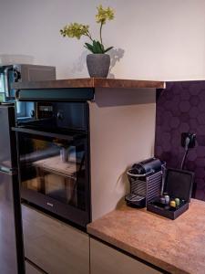 Kuchyň nebo kuchyňský kout v ubytování Apartmán Karlova Studánka