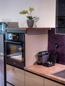Kuchyň nebo kuchyňský kout v ubytování Apartmán Karlova Studánka