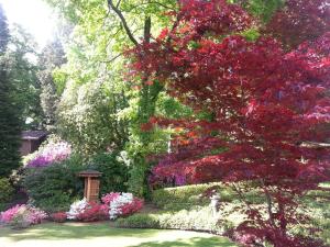 Ein Garten an der Unterkunft Hotel Monte Verità