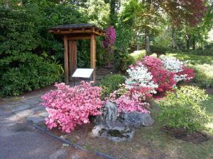 Ein Garten an der Unterkunft Hotel Monte Verità