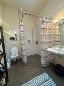 un bagno con doccia, WC e lavandino di Ferienwohnung In Karnin a Karnin
