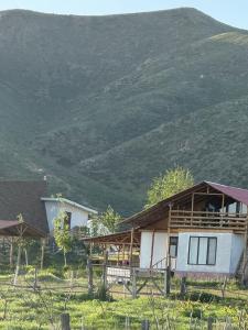 Billede fra billedgalleriet på KYZYL-TASH Agrofarm i Egilik