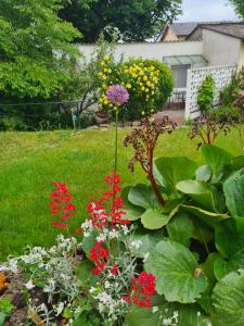 un jardín con flores rojas y amarillas en un patio en Ferienwohnung Seemöwe Usedom, en Heringsdorf
