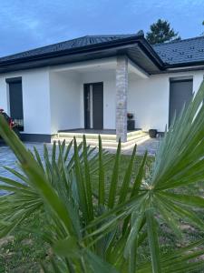 una casa blanca con una planta delante en Art Residence, en Tuzla