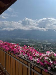 Photo de la galerie de l'établissement Törggelehof Lana, à Lana