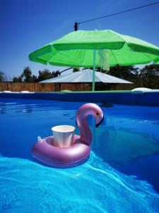 a pink swan float in a pool with an umbrella at Casa Cavallaro con Piscina estiva, giardino e parcheggio in Pescara