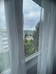Φυσικό τοπίο κοντά σε αυτό το διαμέρισμα