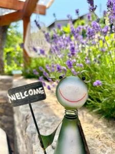 Gallery image of Apartmani Lara&Sara in Bihać