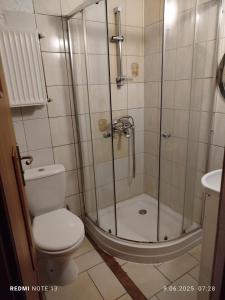 a bathroom with a shower with a toilet and a sink at Apartament z dwiema sypialniami i aneksem kuchennym in Karpacz