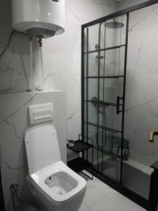 a white bathroom with a toilet and a shower at Nick Apartment in Pristina