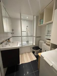 a bathroom with a sink and a toilet and a shower at Comfortable Apartment in Brussels, 35 m², 3 Persons in Brussels