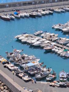 a bunch of boats are docked in a harbor at Villa Maddalena Bordighera in Bordighera +1 photo