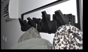 Foto Podgoricas asuva majutusasutuse Tip top downtown galeriist