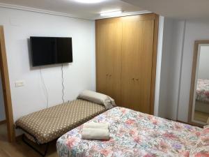 een slaapkamer met een bed en een flatscreen-tv bij El apartamento de la catedral in Burgos