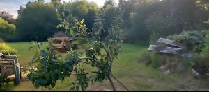 Zahrada ubytování Tipi Jurte Zelt in der Seenplatte