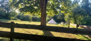 Fotografie z fotogalerie ubytování Tipi Jurte Zelt in der Seenplatte v destinaci Carpin