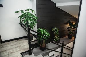 オシエクにあるHoppy rooms - Self Check lnのギャラリーの写真