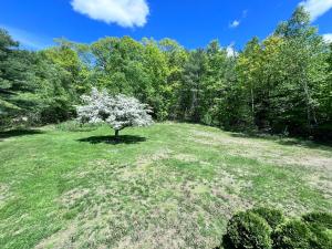 a tree in the middle of a field at Cozy Retreat with Private Backyard Oasis in Livermore Falls