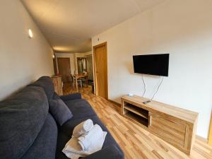 TV a/nebo společenská místnost v ubytování Apartamentos La Solana Deluxe 3000