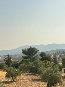 Foto sihtkohas Jerash asuva majutusasutuse Jerash Gate galeriist