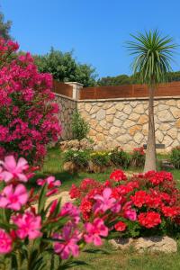 Jardí fora de La Casa Del Sole