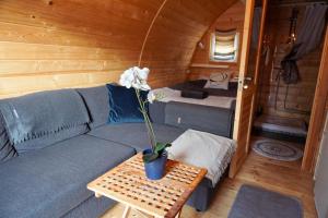 Χώρος καθιστικού στο Cosy Cabin
