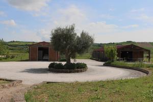 a tree in the middle of a driveway at Le Dame Country House, Marche in Montegranaro