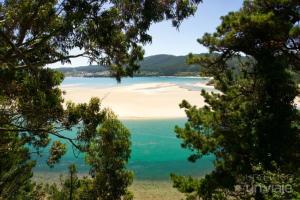 a view of a beach from between trees at EnViveiro Casco Histórico in Viveiro