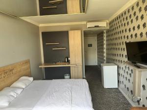 TV a/nebo společenská místnost v ubytování C1 Suite + 1 fotografie
