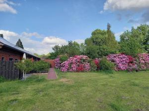 a garden with pink flowers next to a house at Hempen Fied Gästehaus - Apartment 3 in Bad Zwischenahn