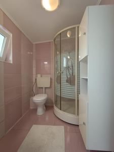 a bathroom with a toilet and a glass shower at Elizabeth's Rooms in Gherla