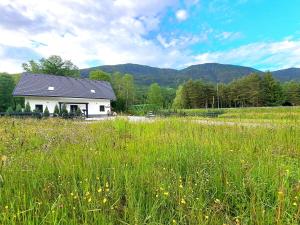 een huis in het midden van een grasveld bij Riverside Apartma 2, Kranjska Gora in Kranjska Gora