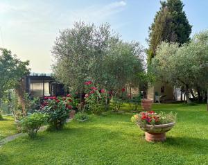 Κήπος έξω από το B&B Il Pozzo