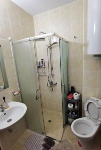 a bathroom with a shower and a toilet and a sink at Family Studio flat in Tŭnkovo